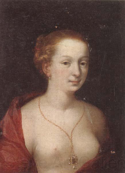 unknow artist A Young girl in a state of undress,wearing a burgundy mantle,and a gold chain and pendant Norge oil painting art